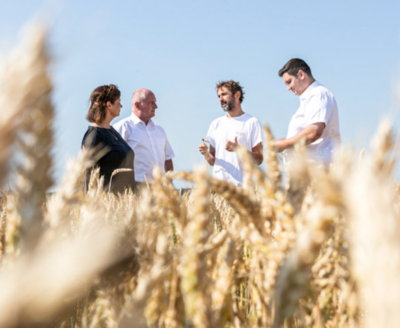 Kati Neff-Reich, Andreas Reich und Simon Reich (rechts) zum Qualitätscheck im Weizenfeld von Klaus Dobler